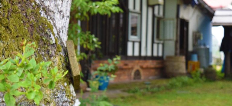 小松市の平屋住宅にみる自然と伝統が調和した豊かな暮らしへの提案 小松市の平屋住宅にみる自然と伝統が調和した豊かな暮らしへの提案